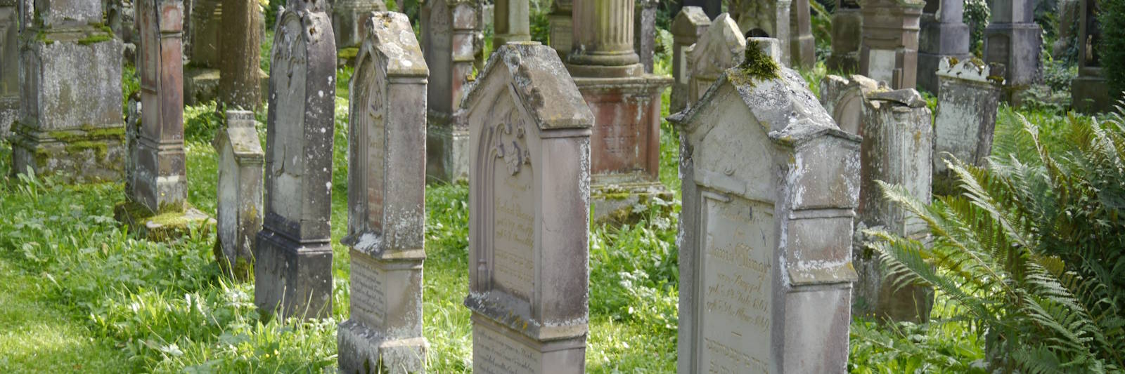 Grabsteine mehrerer Grabreihen auf dem jüdischen Friedhof in Bad Buchau