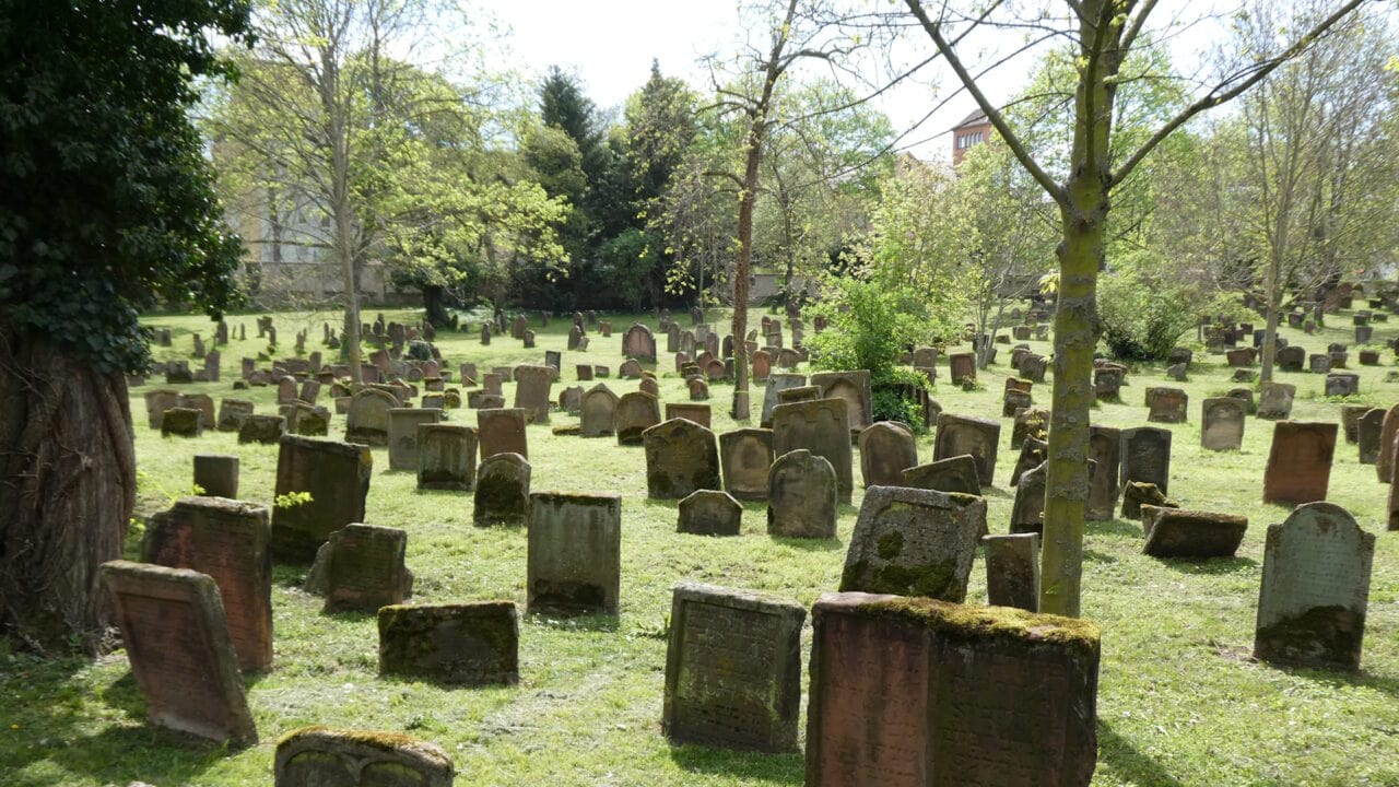 Alte bewachsene Grabsteine auf einem jüdischen Friedhof