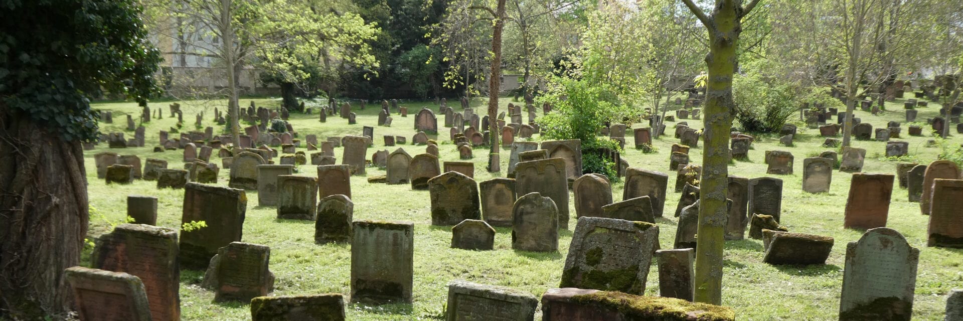 Alte bewachsene Grabsteine auf einem jüdischen Friedhof